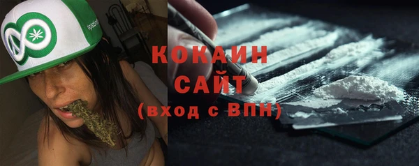 PSILOCYBIN Михайлов