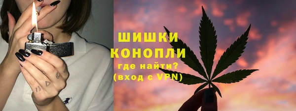 PSILOCYBIN Михайлов