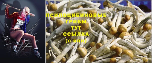 MDMA Медвежьегорск